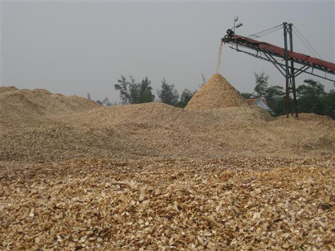 2016年越南木材出口额约达73亿美元