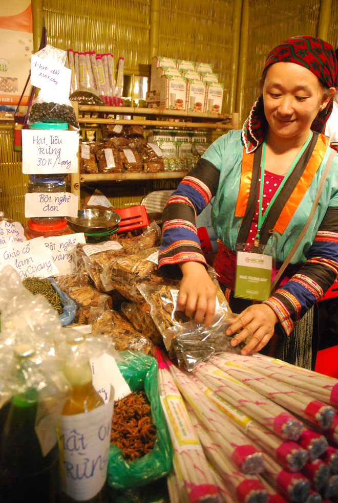 2016年越南异地特产展销会在河内举行