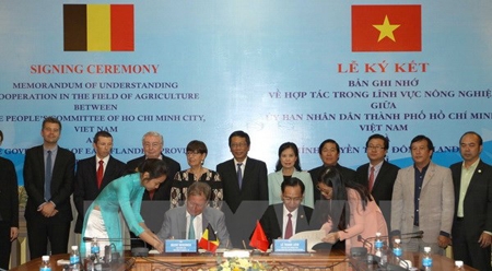 胡志明市同比利时东佛兰德省开展农业合作