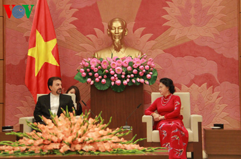 国会主席阮氏金银：越南愿与伊朗加强多领域合作