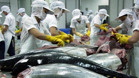2016年越南对美国金枪鱼出口额达2亿美元