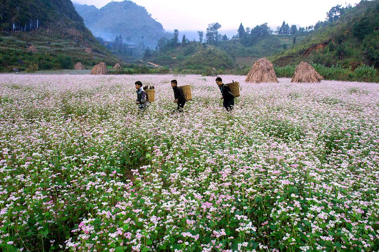 2017年春节越南最具吸引力的旅游目的地