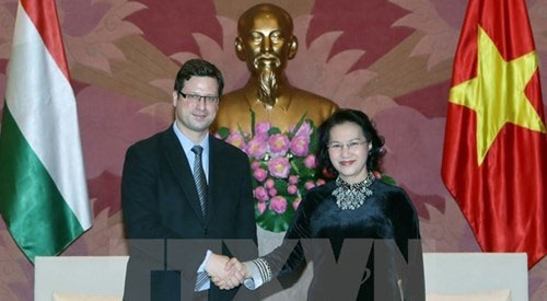 越南国会主席阮氏金银会见匈牙利议会副议长古亚士•盖尔盖伊