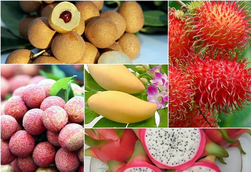 越南力争2017年蔬果出口额突破30亿美元大关