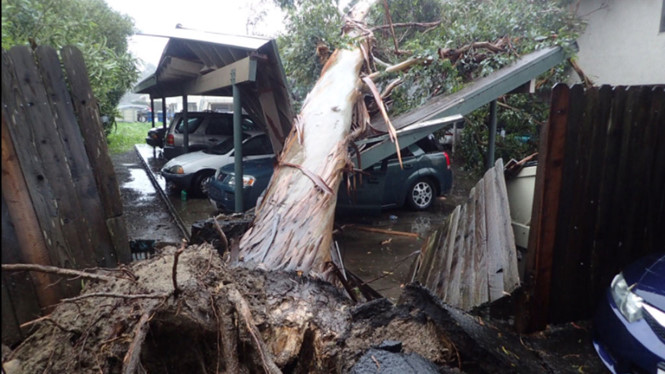 美国加州遭遇风暴袭击至少5人死亡