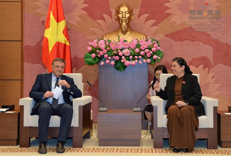 国会常务副主席丛氏放会见欧洲议会外事委员会人权分委会代表团
