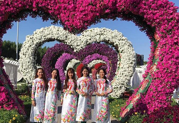 越南将首次举行玫瑰花节