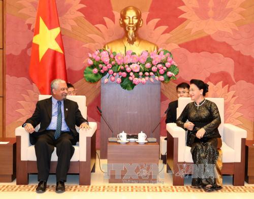 越南国会主席阮氏金银会见联合国开发计划署驻越首席代表马勒赫塔