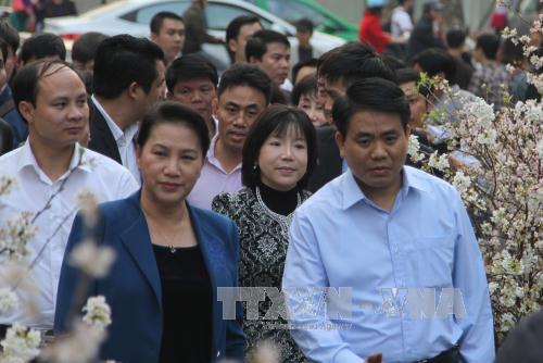 国会主席阮氏金银参观河内樱花展