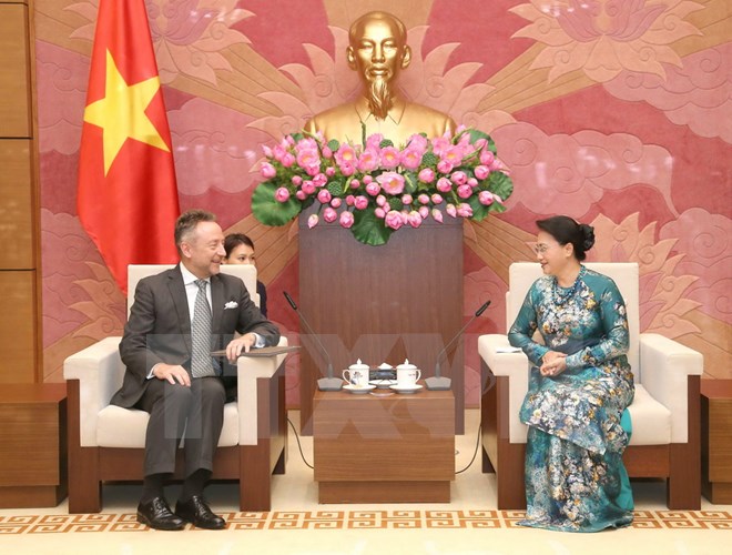 国会主席阮氏金银会见捷克新任驻越南大使