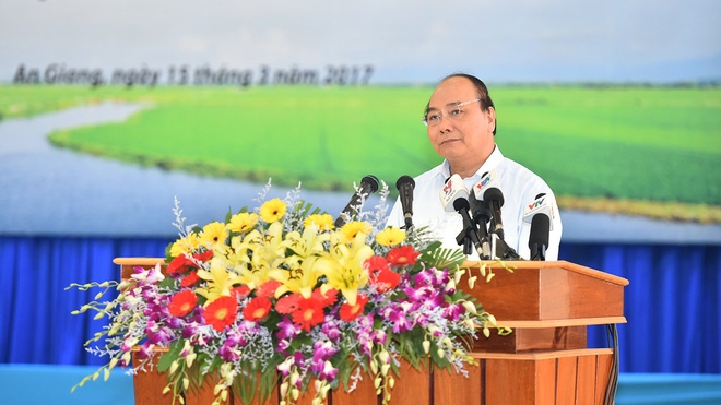 政府总理阮春福：越南稻谷产业正进入革新阶段