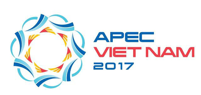国家主席陈大光检查在岘港举行的2017年亚太经合组织领导人会议周相关准备工作