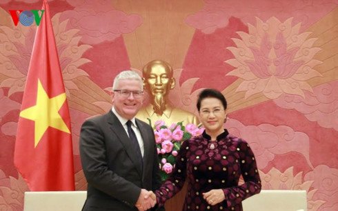国会主席阮氏金银会见澳大利亚和新西兰驻越大使