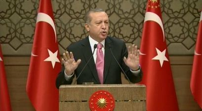 土耳其总统宣布修宪草案在全民公投中通过