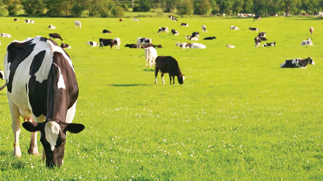 新西兰4月外贸盈余达两年来最高