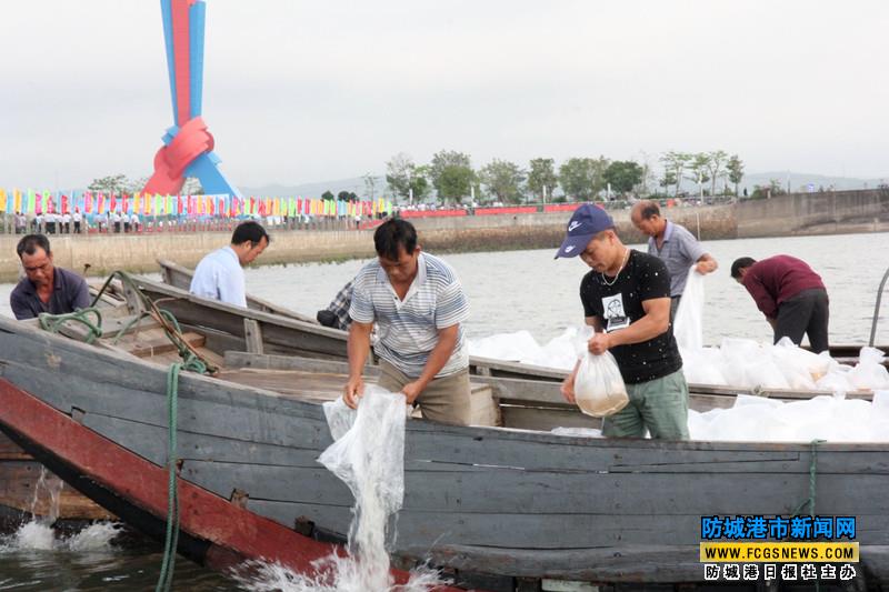 越中联合举行北部湾渔业资源增殖放流与养护活动