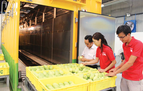 2017年前4个月越南蔬果出口额达10亿美元