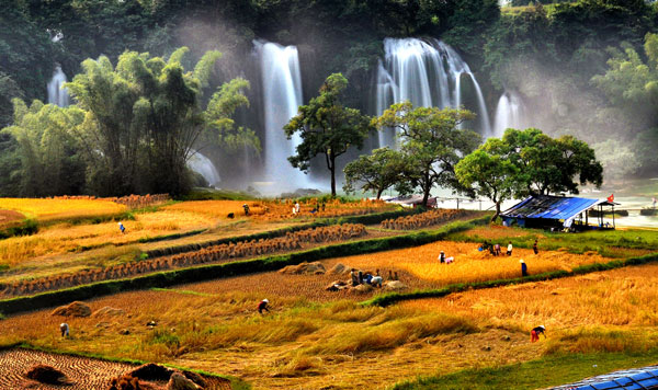 “探索越南”图片展即将开展