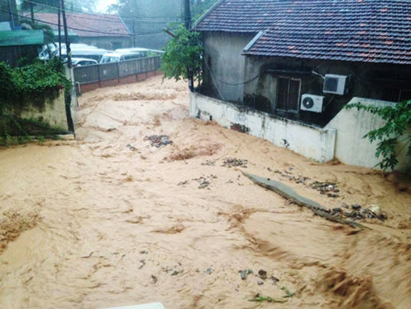 越南政府批准“提高沿海地区抵御气候变化能力”项目