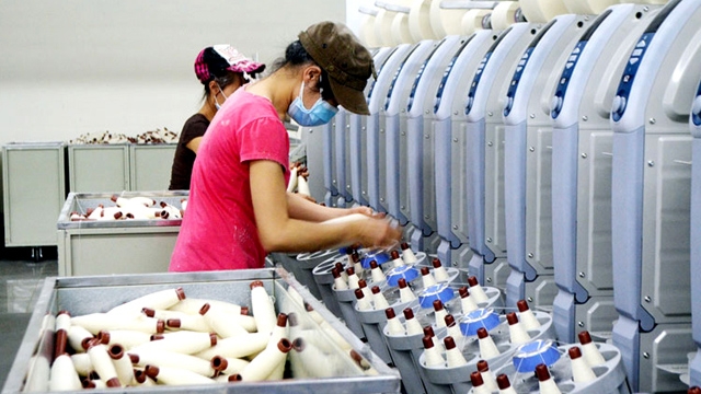 2017年上半年广宁省引进外资超4700万美元