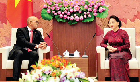 国会主席阮氏金银会见古巴驻越大使