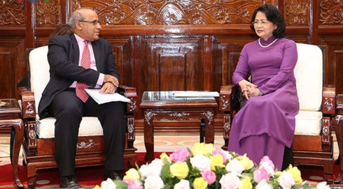 国家副主席邓氏玉盛会见联合国儿童基金会驻越南办事处首席代表