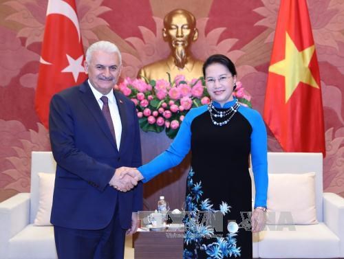 越南始终重视同土耳其在多领域的合作关系