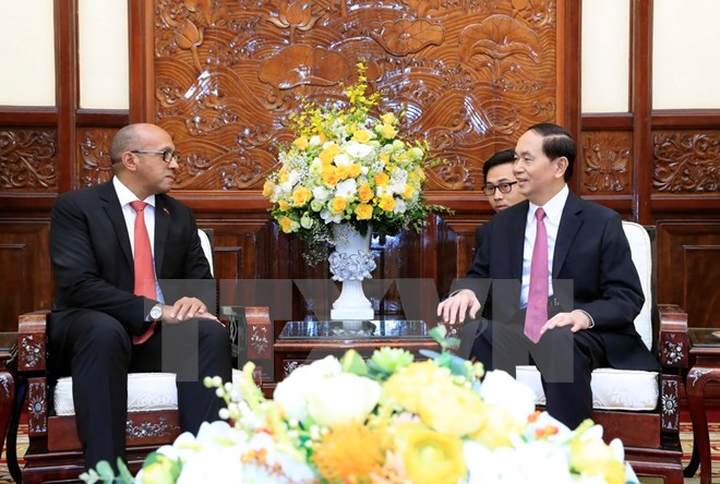 国家主席陈大光会见古巴驻越南大使