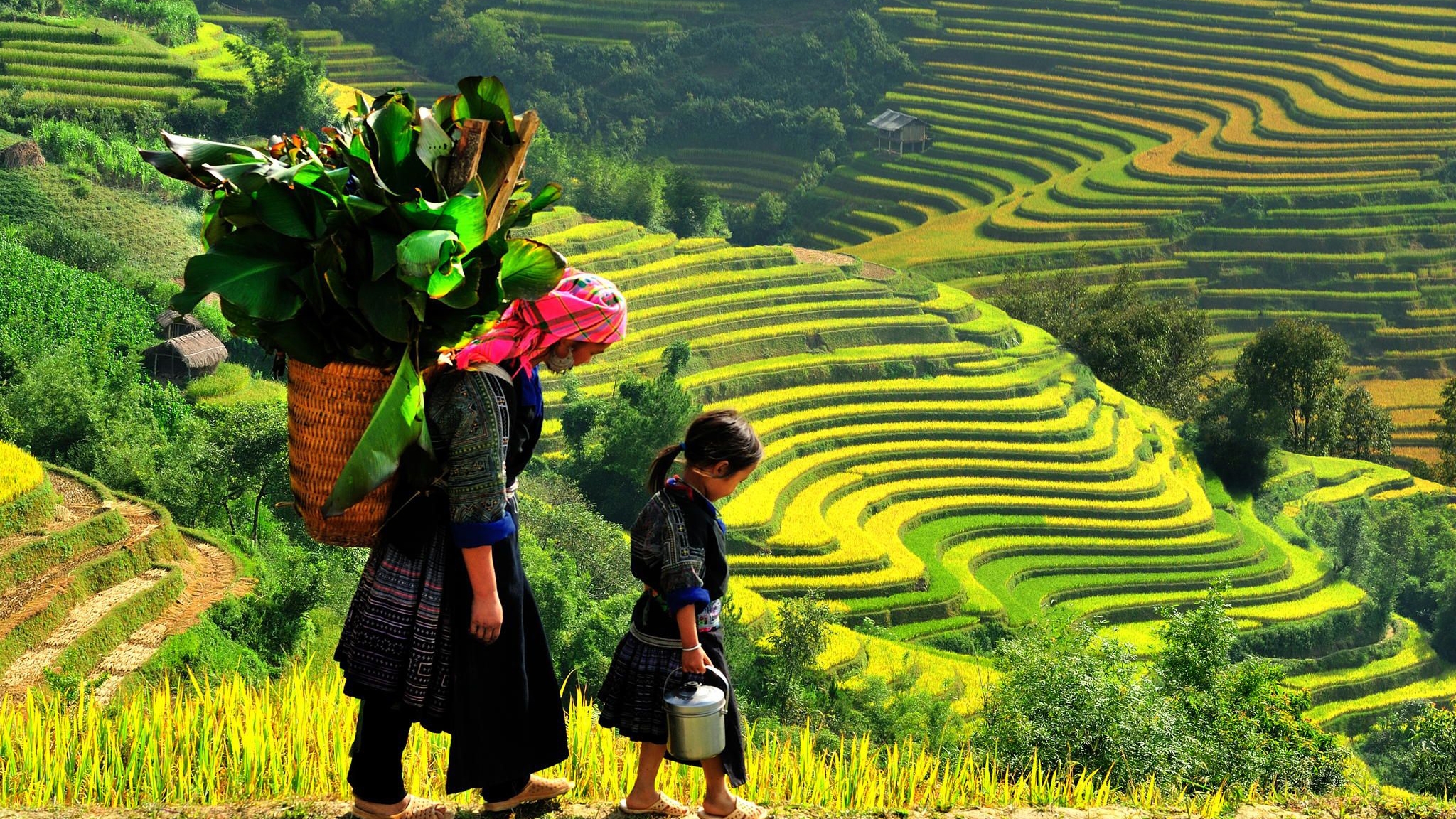 2017年穆庚寨梯田国家名胜区文化旅游周下月举行