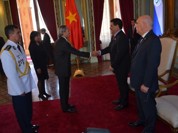 增强越南-巴拉圭合作关系