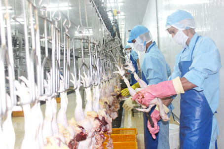 越南首批鸡肉将于本月9日出口日本