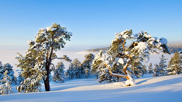 俄罗斯北部自然风光”图片展在河内举行