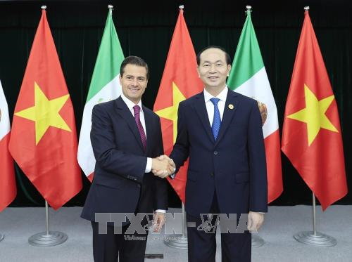 国家主席陈大光与墨西哥总统举行双边会晤