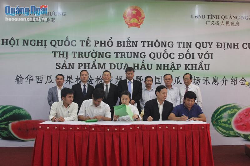 越中企业签订西瓜收购原则性合同