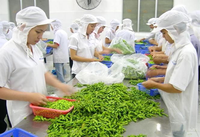 越南蔬果出口额约达32亿美元