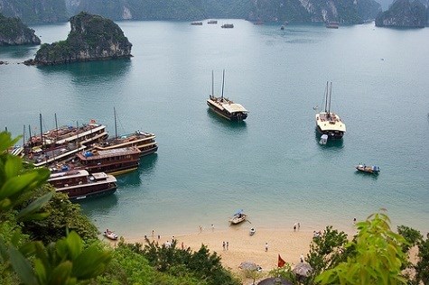 茶古—极具魅力的文化旅游目的地
