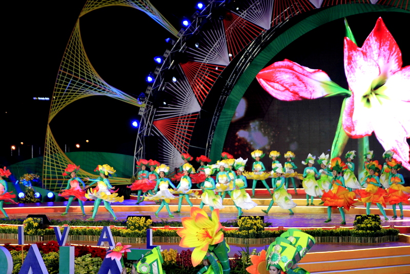 2017年第七届大叻花卉节开幕