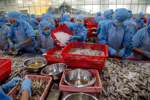 法国媒体：越南是地区经济效率最高的经济体之一