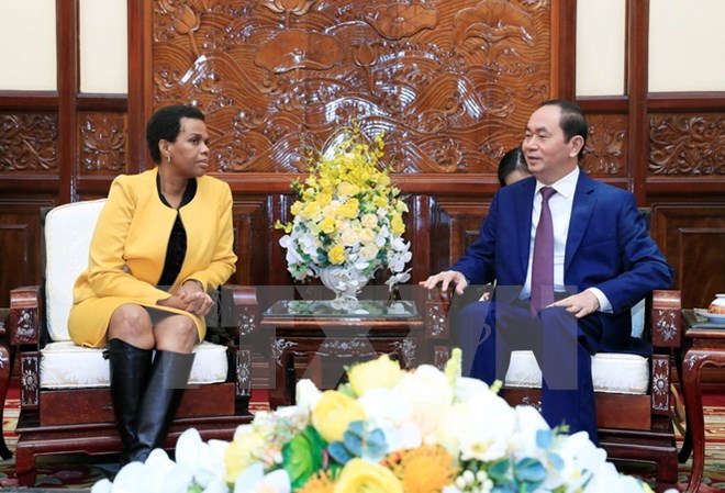 越南与南非之间的合作潜能巨大