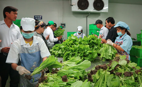 促进投资以提高九龙江平原地区食品价值链