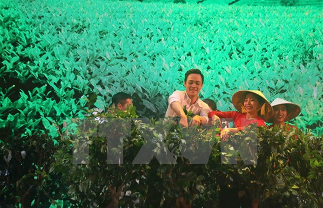 2017年大叻花卉节：观丝绸赏美酒