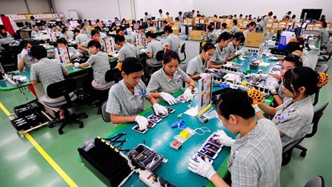 荷兰——越南企业的潜力出口市场