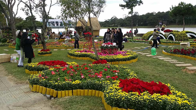2018年元旦假期观光土特产街和欣赏大叻花卉空间