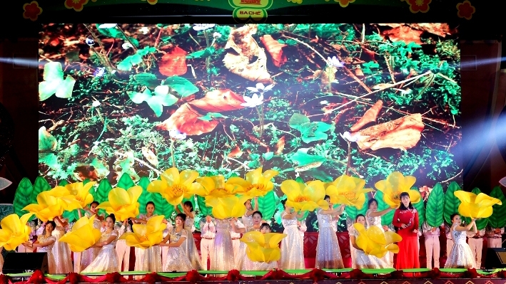 精彩纷呈的2018年广宁金花茶节