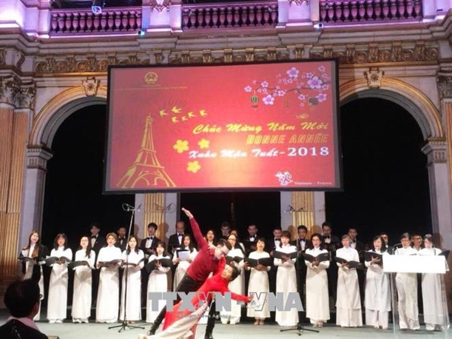 旅居法国越南人举行了多项迎新活动