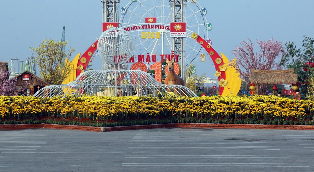 越南各地张灯结彩迎接新春（组图）