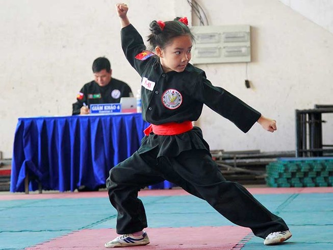 2018年胡志明市学生传统武术锦标赛在胡志明市开幕