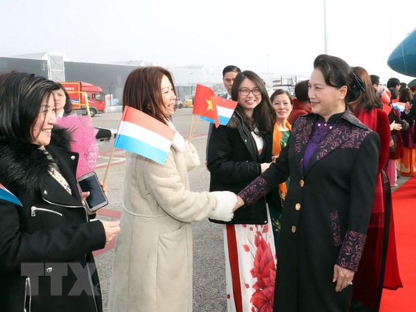 阮氏金银主席开始对荷兰进行正式访问