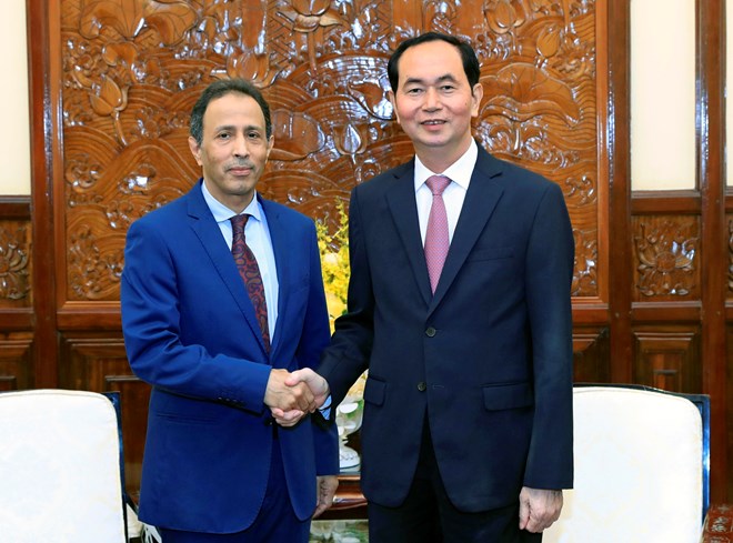 推动越阿优势领域合作关系不断向前发展