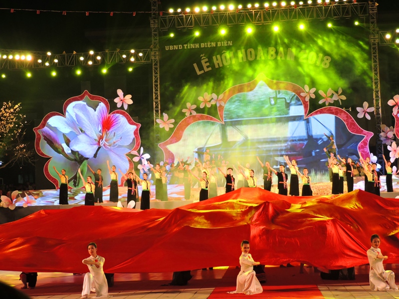 2018年羊蹄甲花节弘扬传统文化